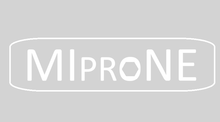 Miprone tukemassa Verkupoikia